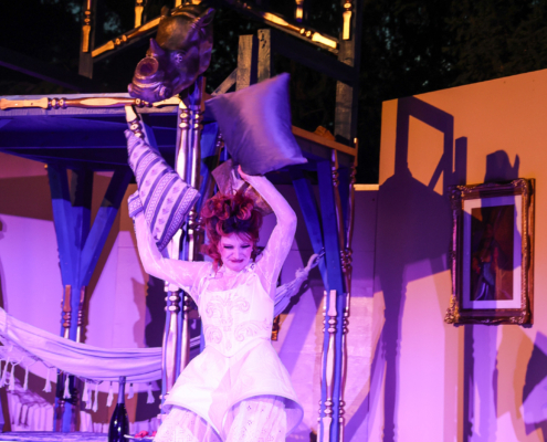 Ein Walzertraum / Foto: Barbara Palffy