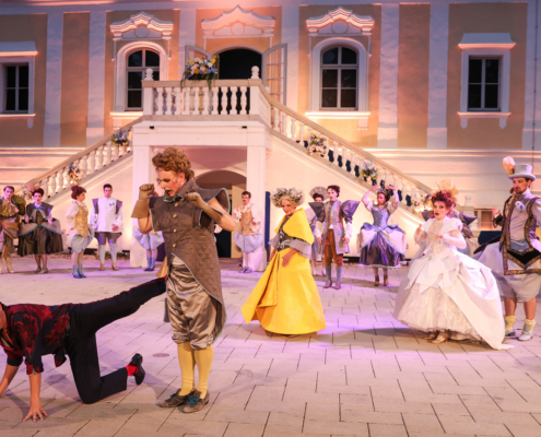 Ein Walzertraum / Foto: Barbara Palffy